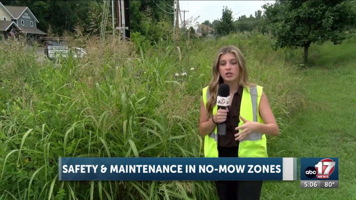 Maintenance scheduled for Columbia ‘no-mow zones’ after overgrowth from July rain