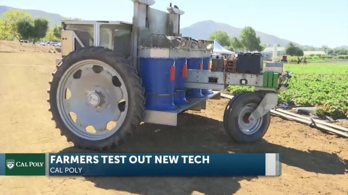 Cal Poly’s Tenth Strawberry Center Field Day Presents Future Farming Innovations