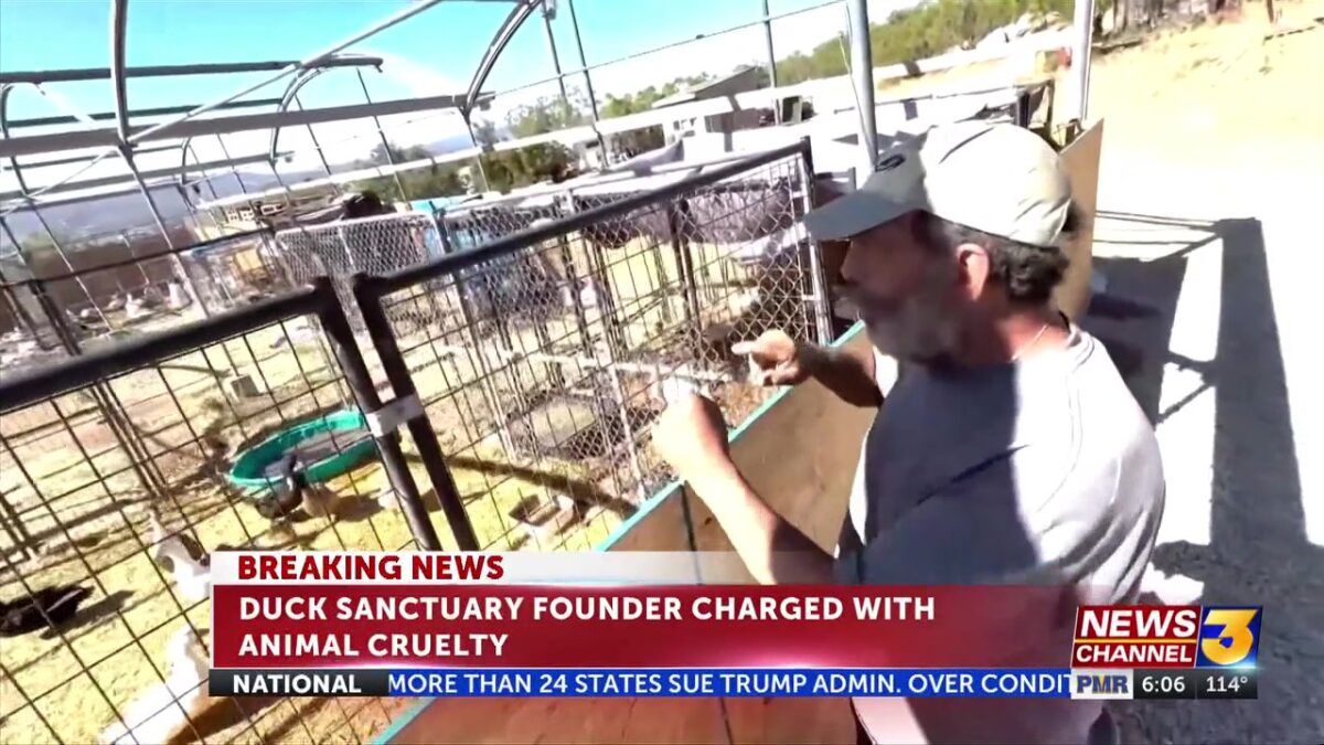 Riverside County duck sanctuary founder charged with animal cruelty