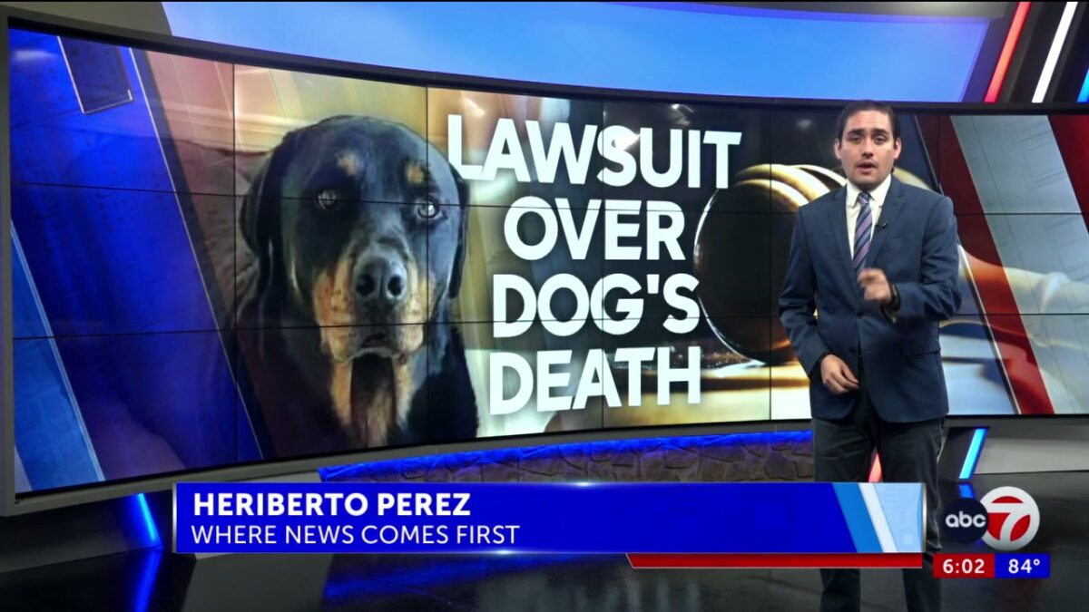 Family and lawyer suing federal government seek accountability and justice for their dog