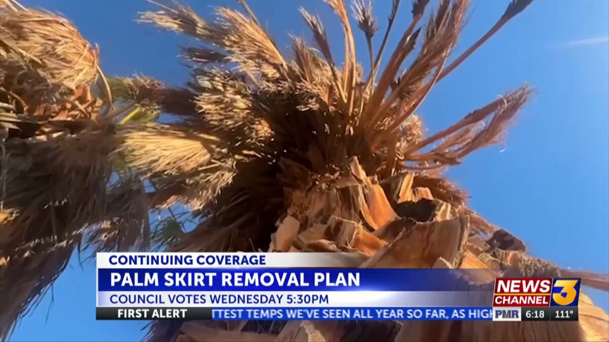 Palm Springs council to vote on stripping skirts from 2