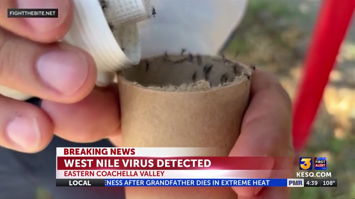 Mosquito samples test positive for West Nile Virus in Mecca