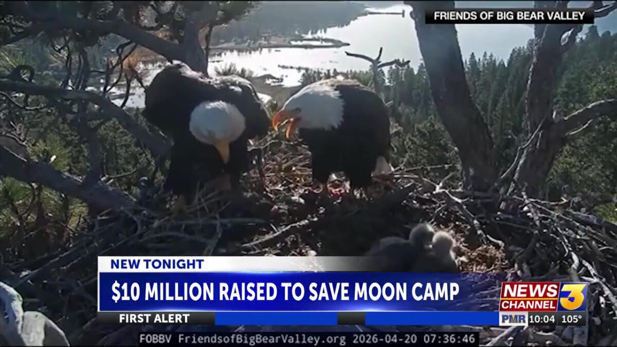 $10M raised to save Moon Camp