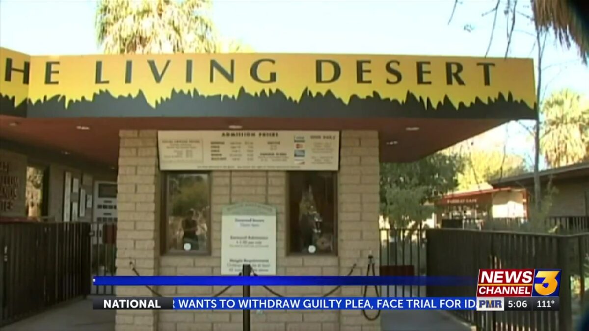 Former Living Desert executive sues zoo