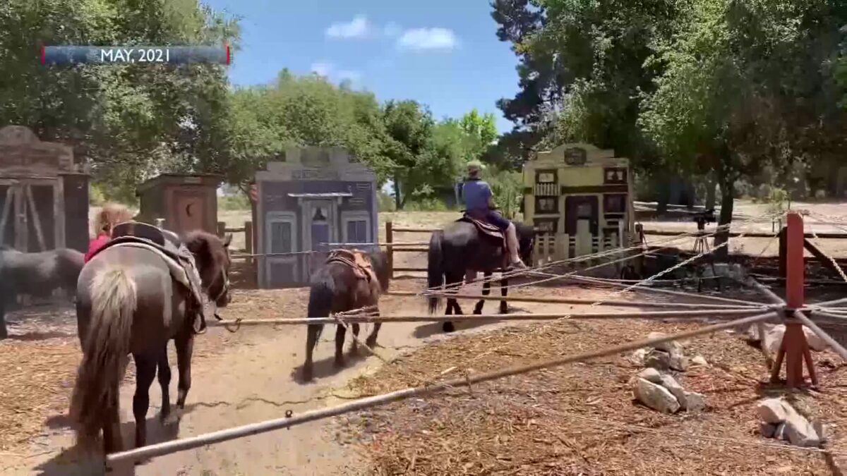 Waller Park’s Beloved Ponies Must Leave