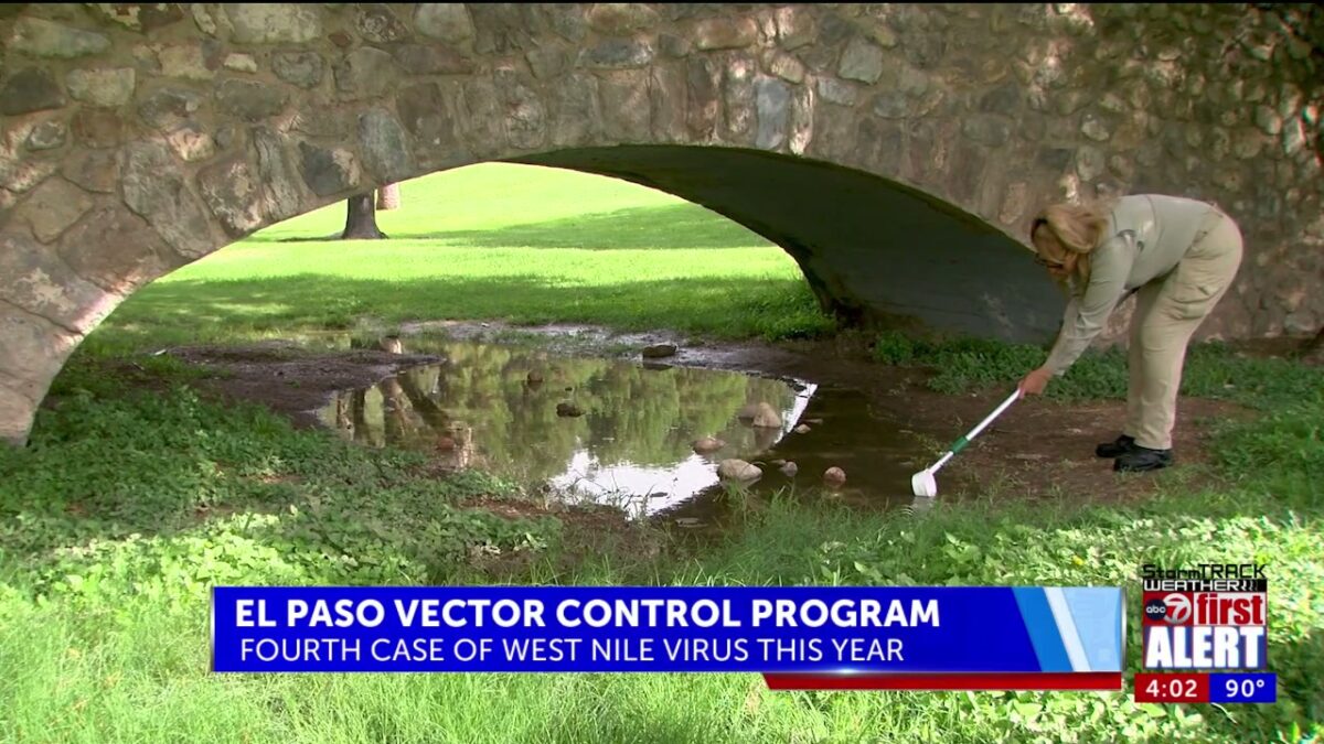 Use the ‘4 Ds’ to avoid bites during peak mosquito season