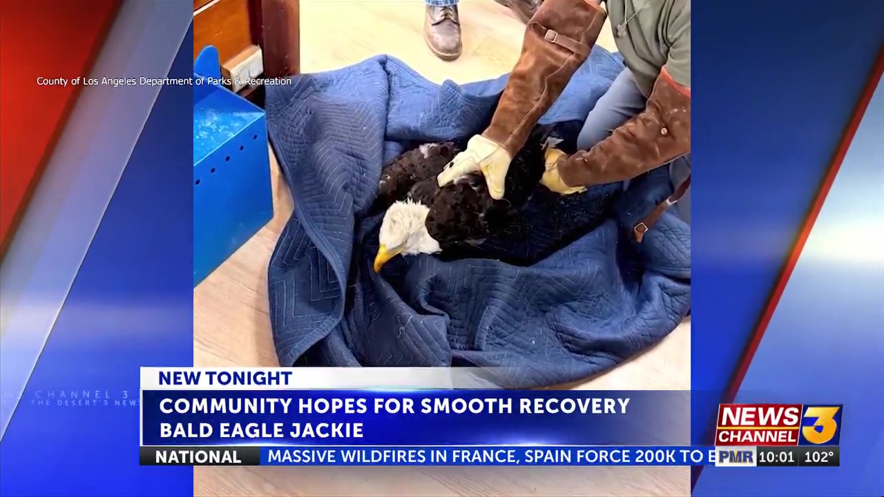 Locals in Big Bear Valley await Jackie’s recovery