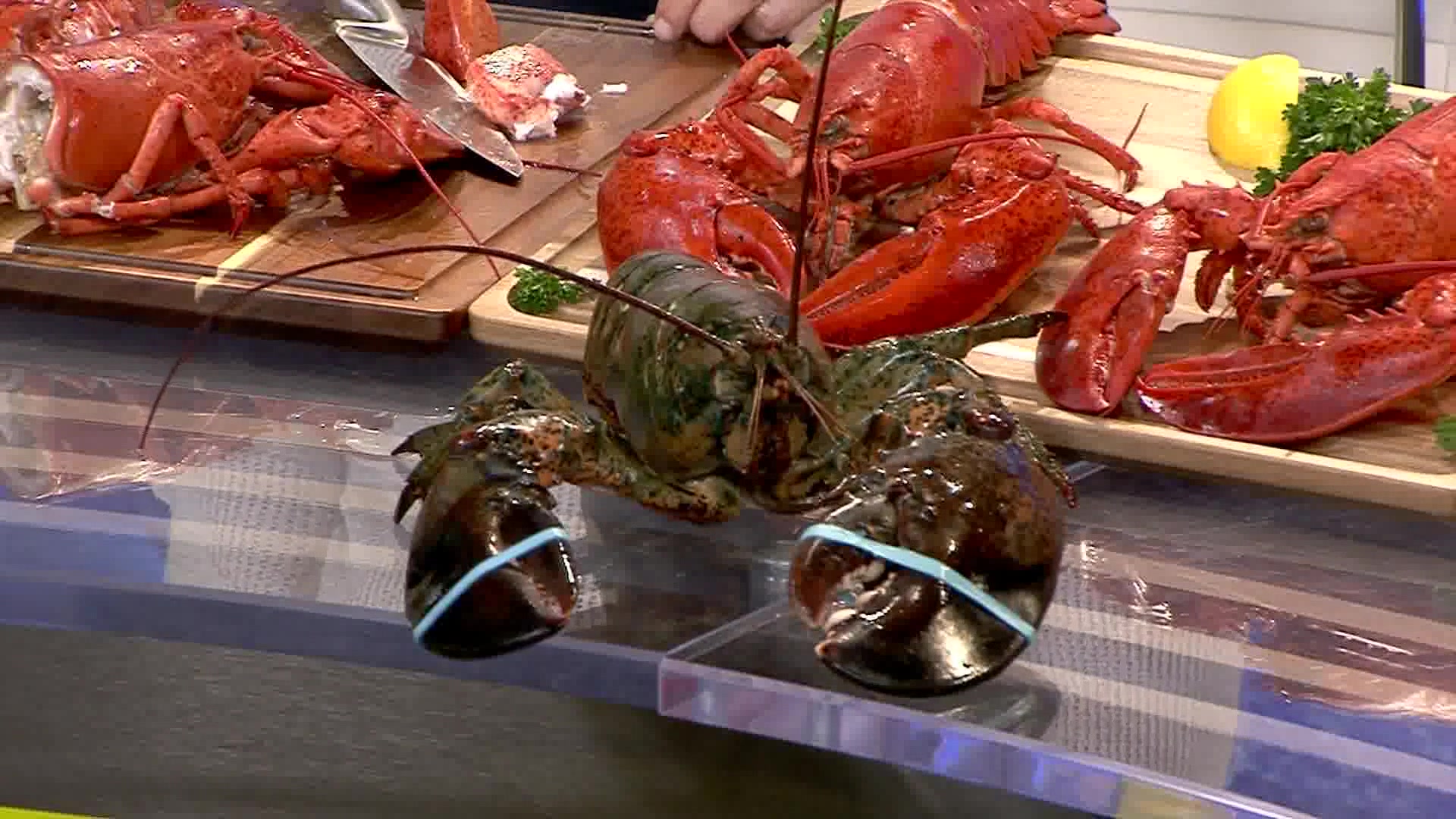 Lobster Anyone? Lobsterboys Join the Morning News for Tasty Segment
