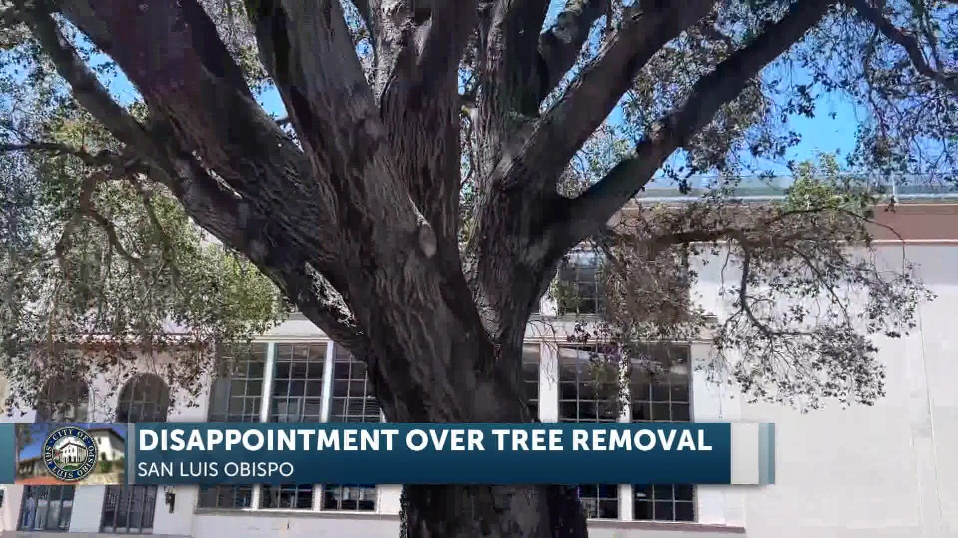 A Sorrowful Farewell to the Oak Tree at SLO Repertory Theatre