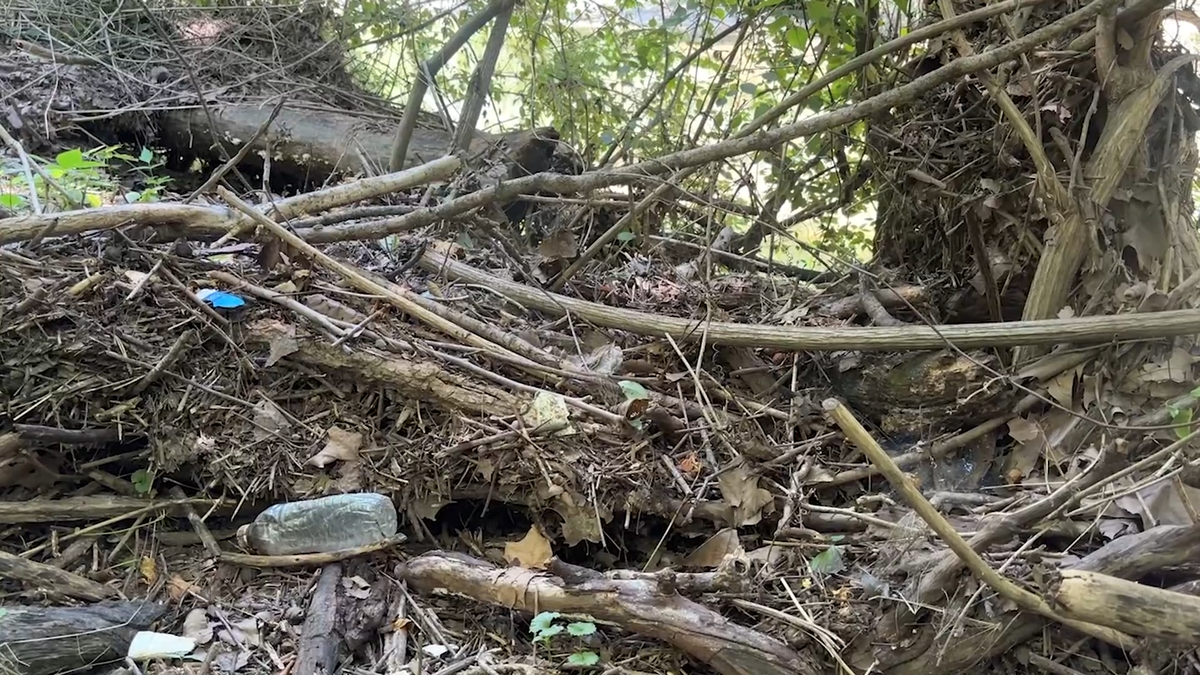 QUESTION OF THE DAY: Are homeless camps a major source of urban water pollution?