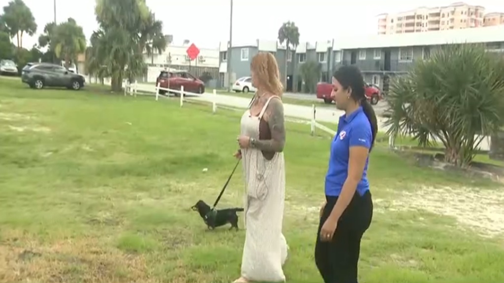 The dog is now back home with her family in Alabama