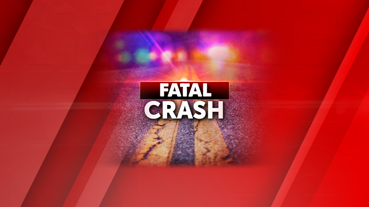 Toledo man killed after being struck by vehicle on Highway 20