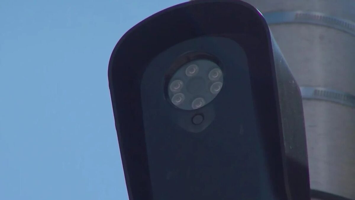 Flock cameras