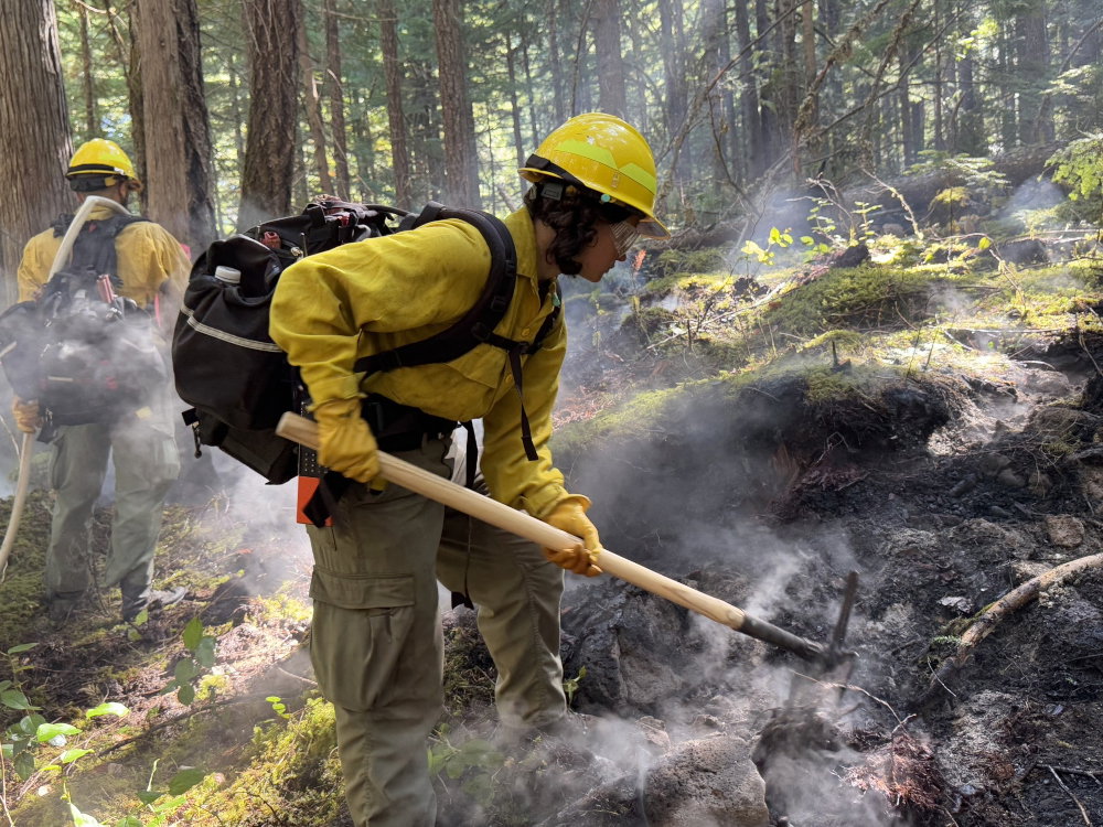 Deschutes National Forest opens wildfire firefighter job applications