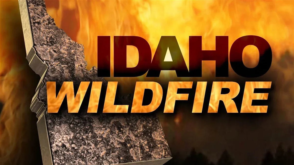 Lightning causes several fires in southern Idaho
