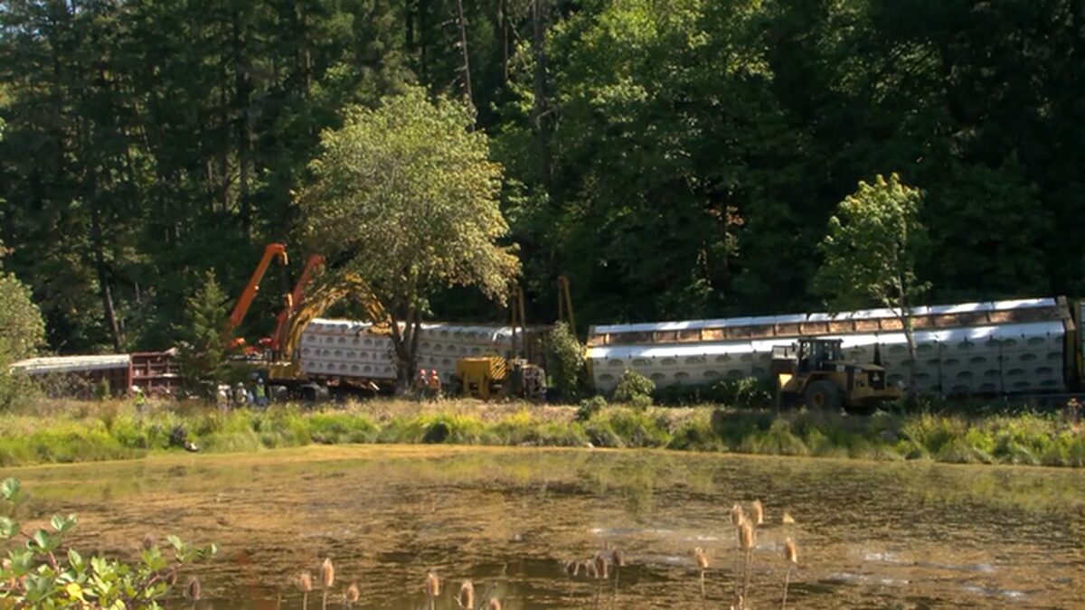 “This train goes by twice every day