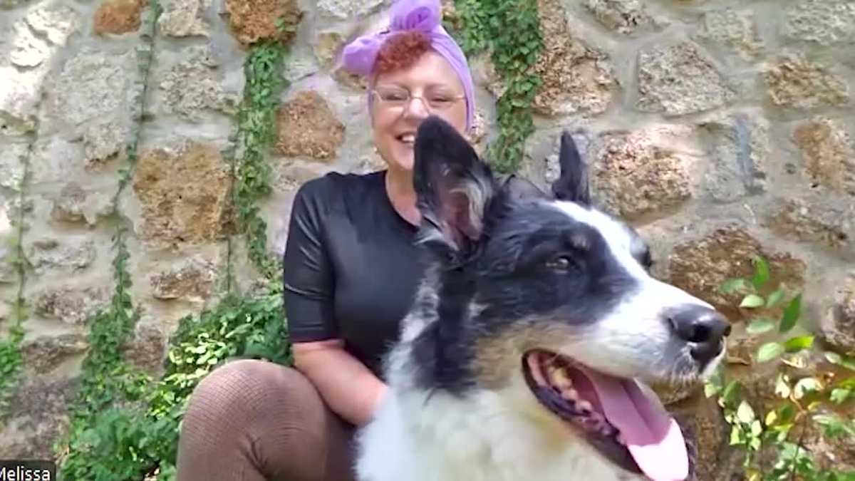 A 10-month-old Australian Shepherd disappeared in Oklahoma and was later found safe in North Carolina — but how he got there is a mystery.