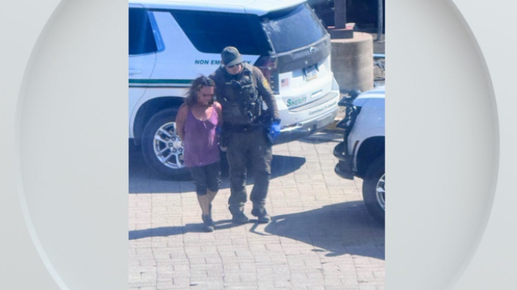 Christine Mitchell was arrested in connection with the Fred Mountain Fire.