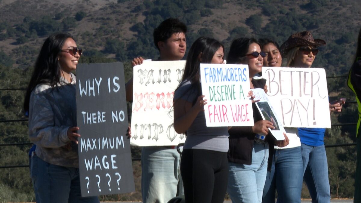 Farmworkers rallied outside the Wine & Fire event at 10 Ninths Winery Estate