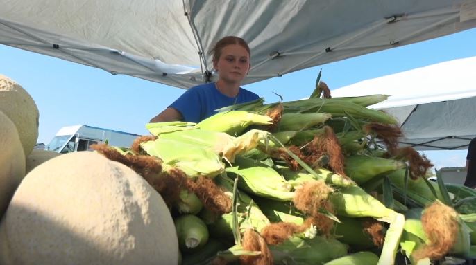 As health officials investigate how people in Utah fell sick with cyclosporiasis