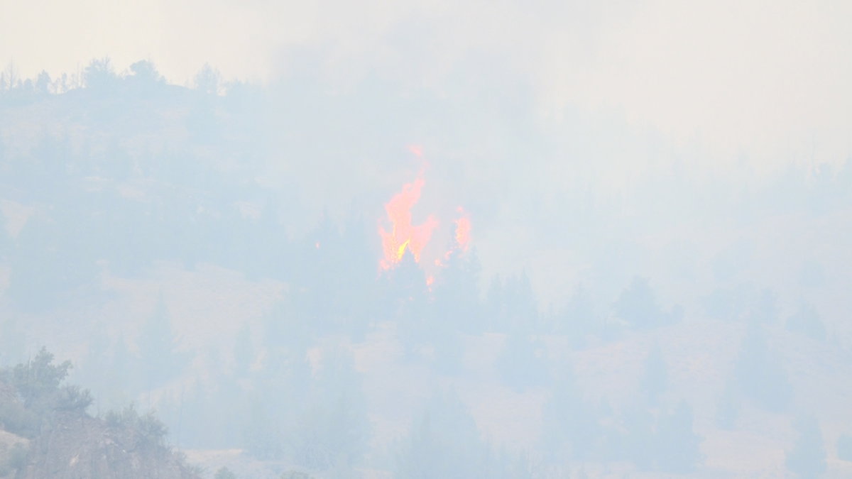 FEMA approves federal funds for Oregon’s Rowe Creek Complex – West Zone fire