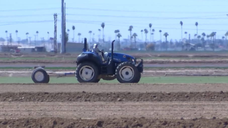 Rising farm costs could mean higher grocery prices