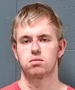 New Bloomfield man charged with sodomy