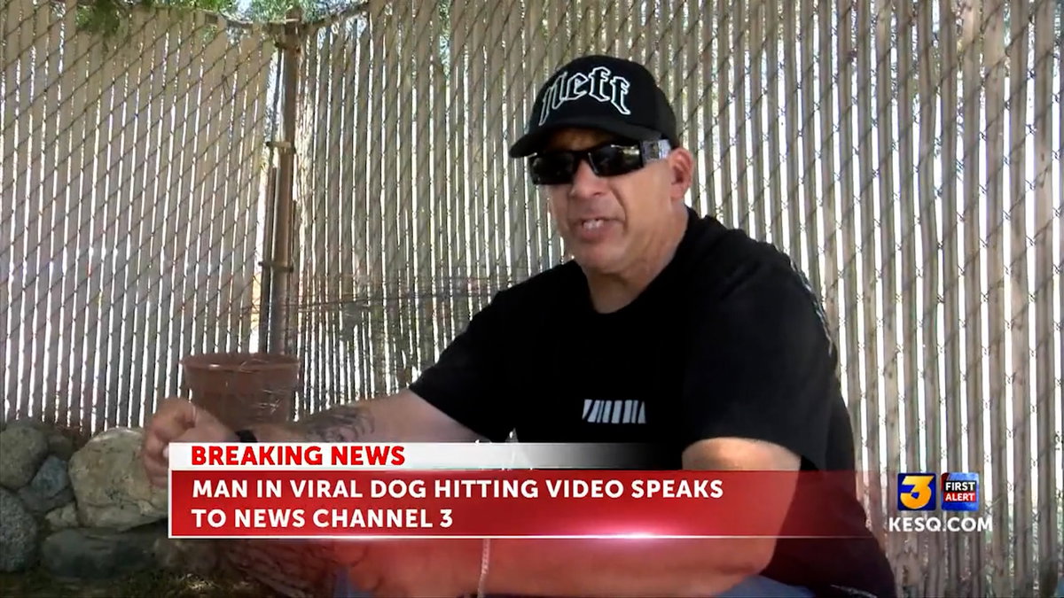 Cabazon man seen repeatedly hitting dog in viral video arrested on suspicion of animal cruelty