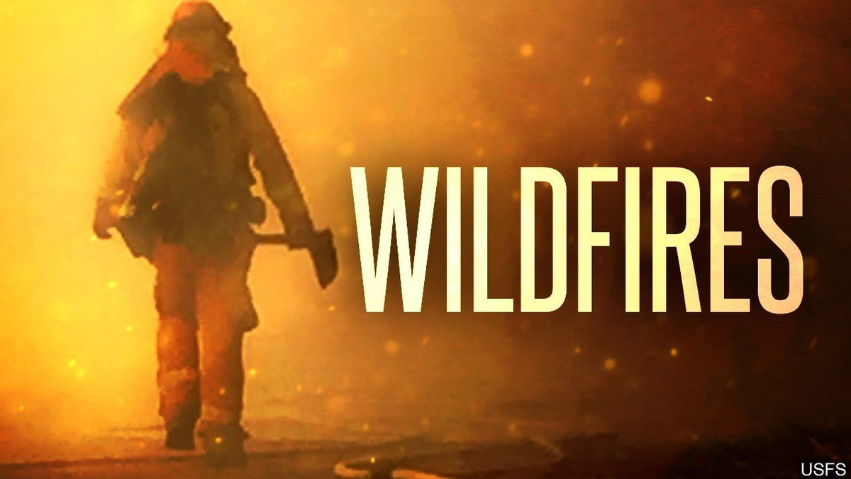 Lightning-caused Lake Channel fire grows to 1