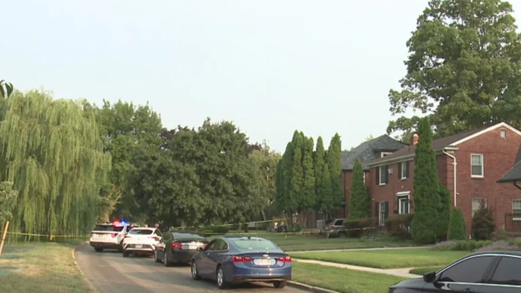 A preliminary investigation revealed that the teen allegedly shot at his father twice