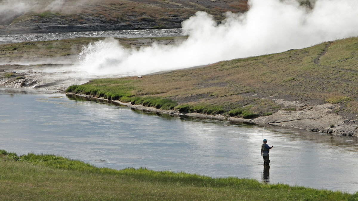 Yellowstone expands fishing restrictions across nearly all rivers and streams due to extreme heat