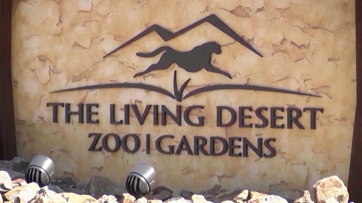 The Living Desert Zoo and Gardens hold job fair