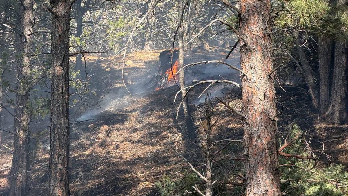 Small wildfire caused by lightning strike quickly put out in Huerfano County