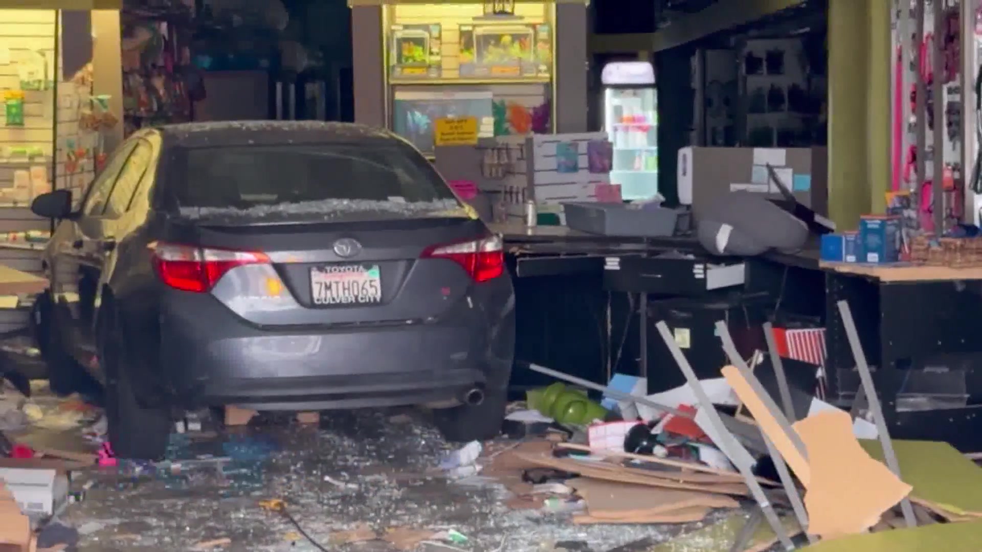 Car Crashes Through Front Windows of Goleta Pet Store; No Injuries Reported