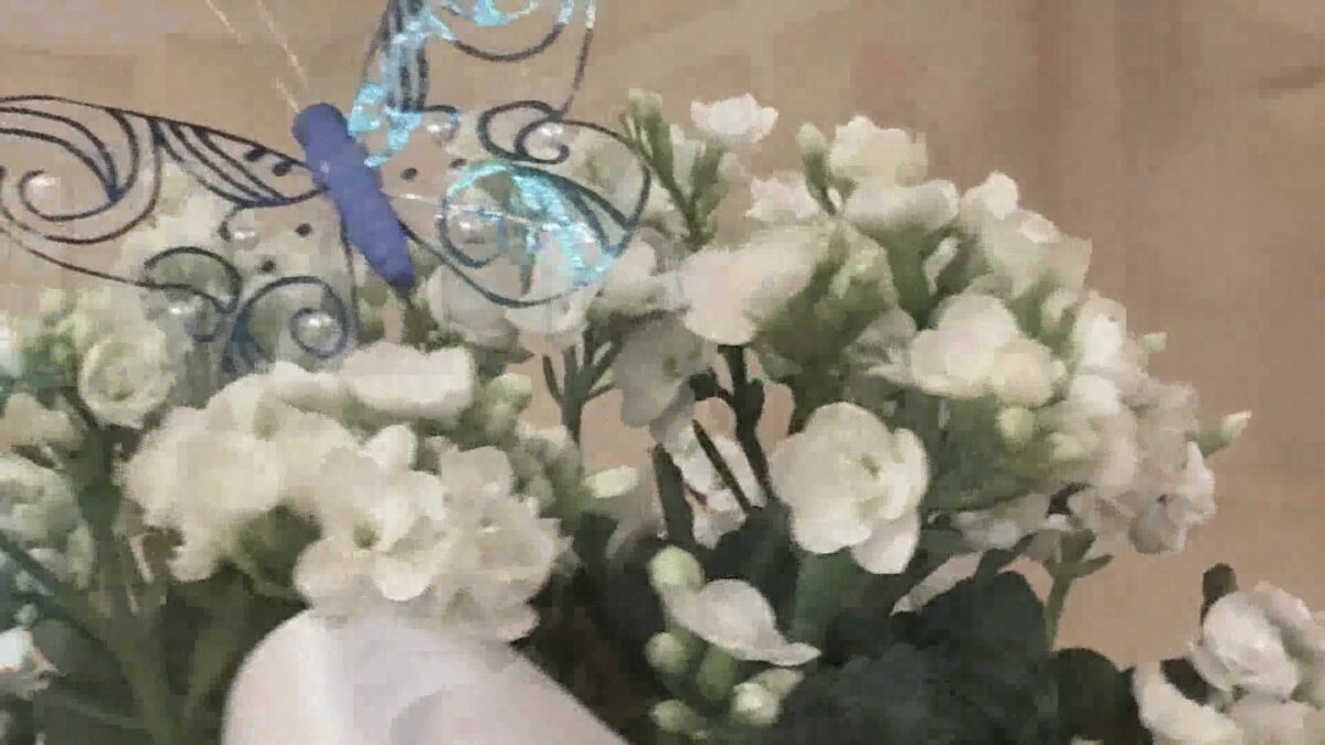 Hospice of Santa Barbara Highlights Children’s Grief Support