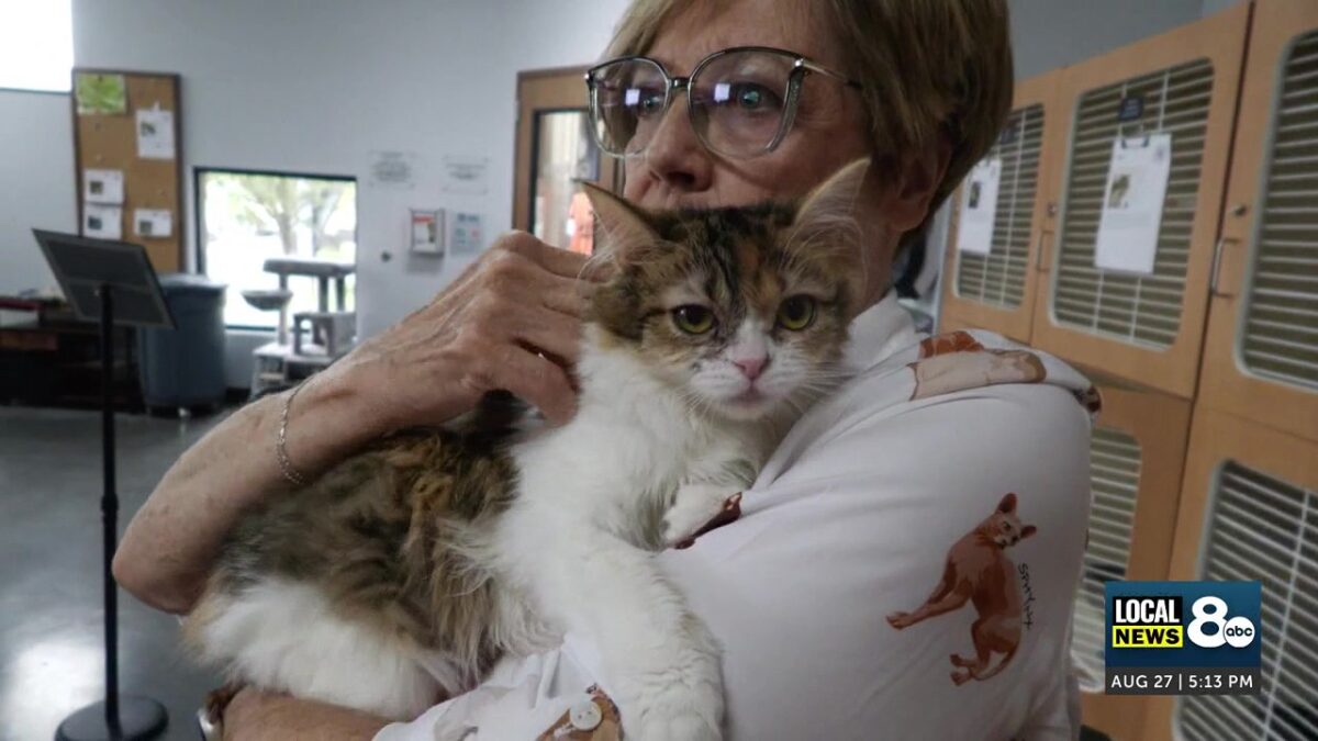 Rescue effect campaign brings free adoptions to Snake River Animal Shelter