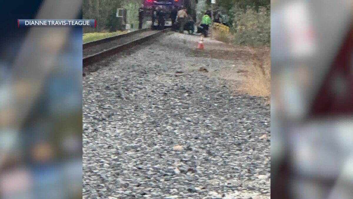 Man dies near Por La Mar Circle as pedestrian in train crash