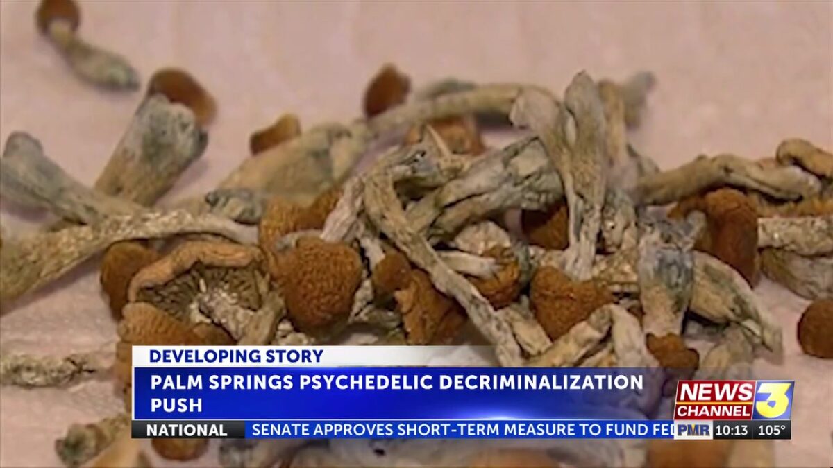 Palm Springs group pushes for decriminalization of psychedelic plants and fungi