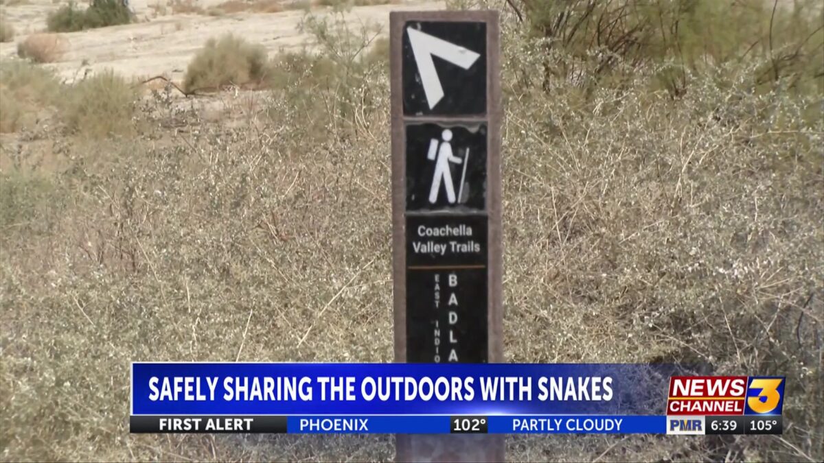 Outdoor dangers: Staying safe when rattlesnakes are more active