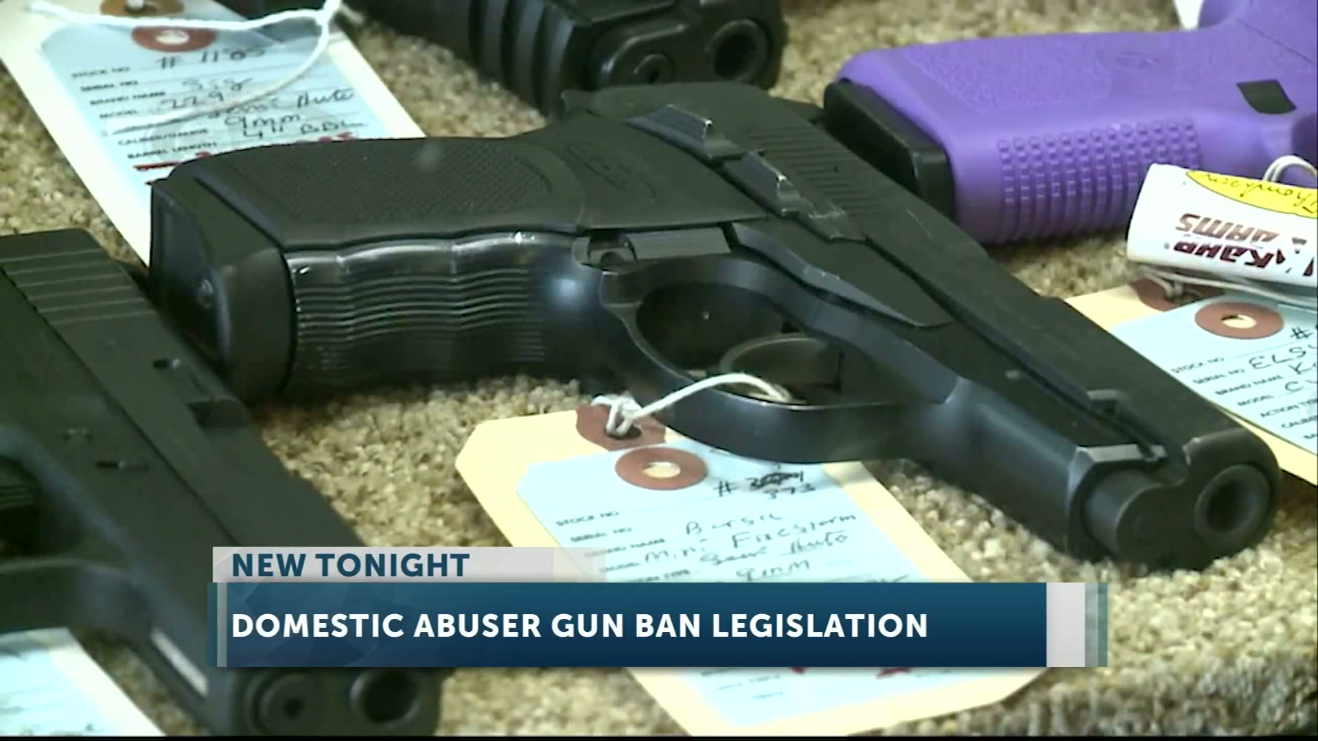 Wyden and Merkley introduce bill to block domestic abusers from buying guns