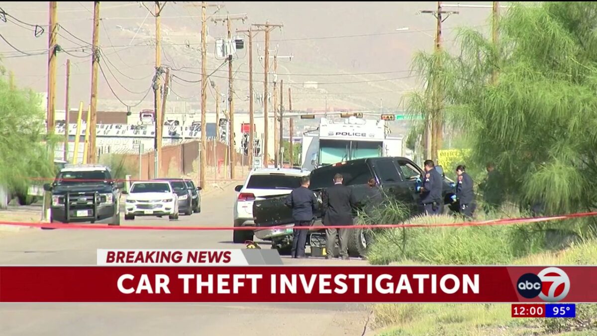 1 hospitalized after auto theft