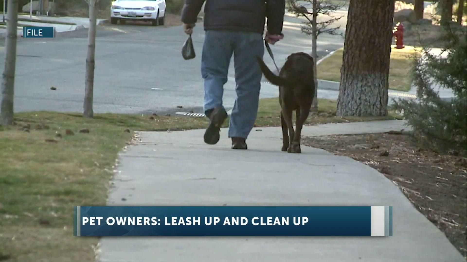 Leash up and clean up: Prineville reminds residents of park rules