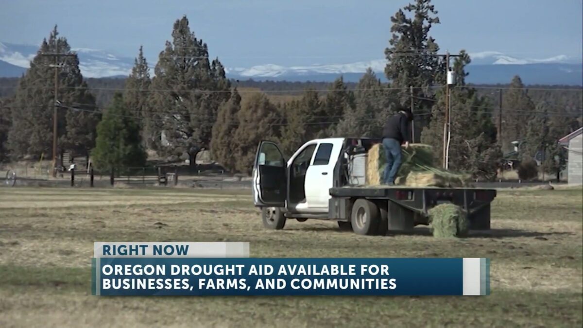 Oregon drought aid available for businesses