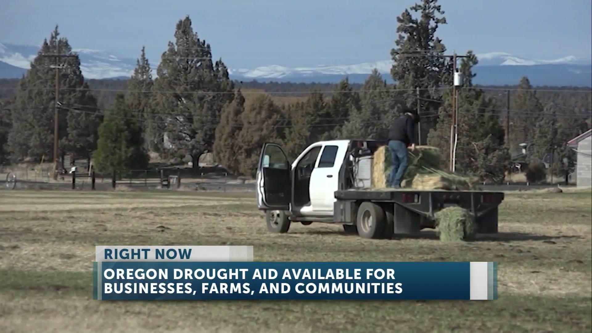 Oregon drought aid available for businesses