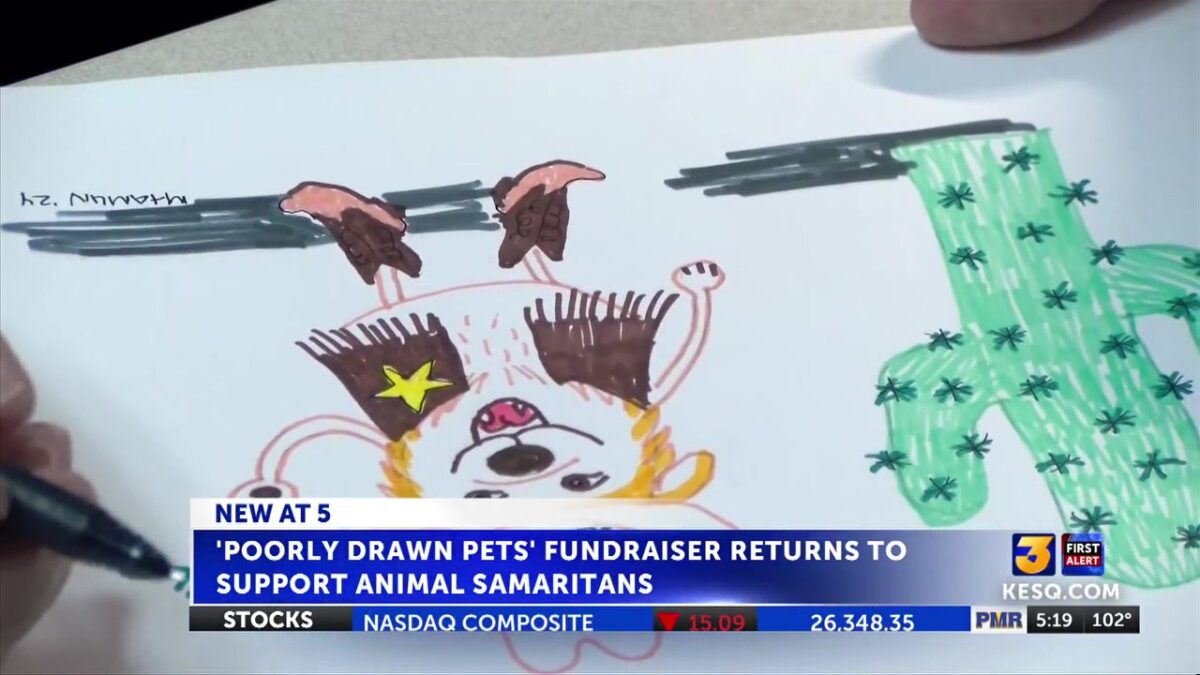 ‘Poorly Drawn Pets’ fundraiser returns to support Animal Samaritans as shelters face summer strain