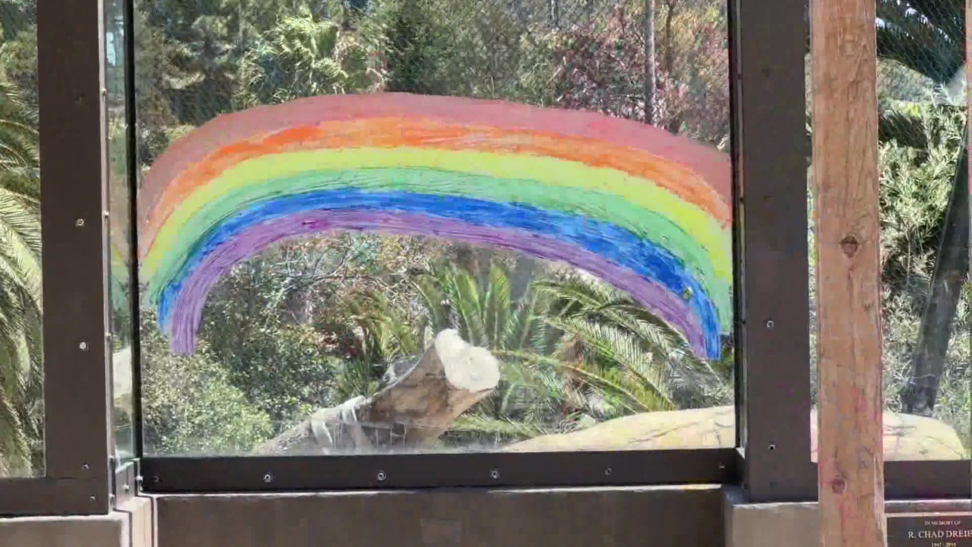 Santa Barbara Zoo hosts Pride Family Day