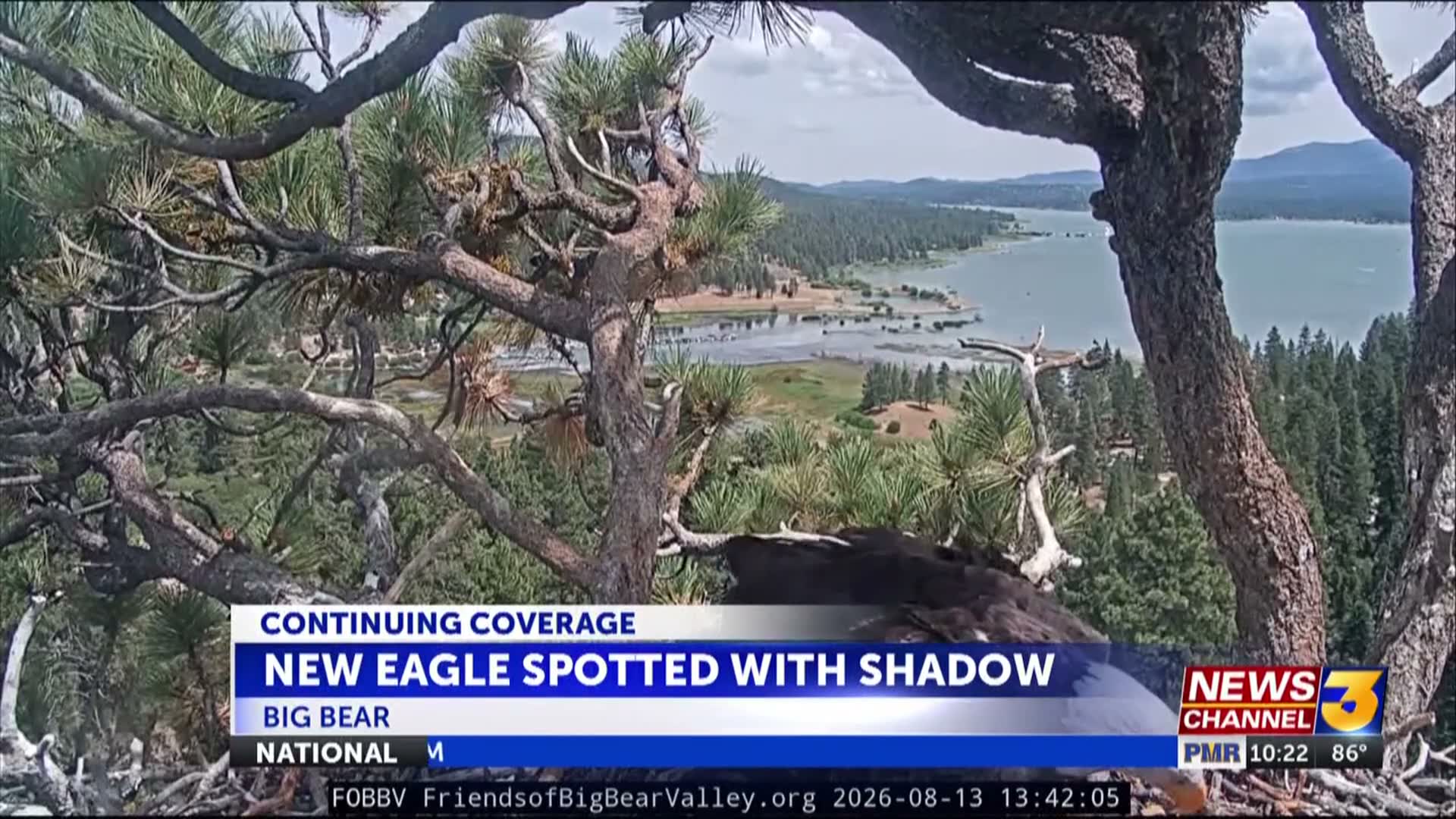 Shadow spotted with another bald eagle at Big Bear nest just days after Jackie’s death