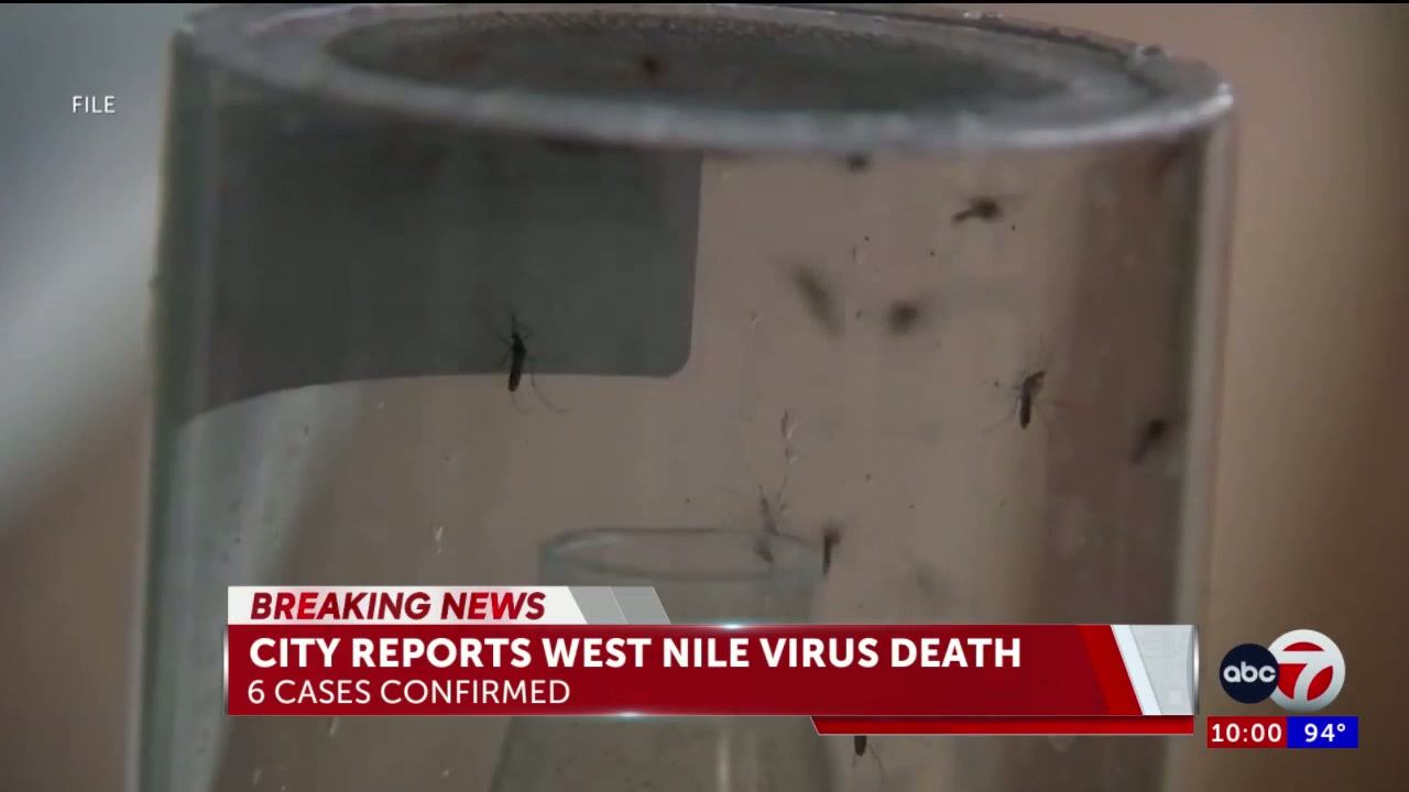 City of El Paso reports first West Nile virus death of 2026