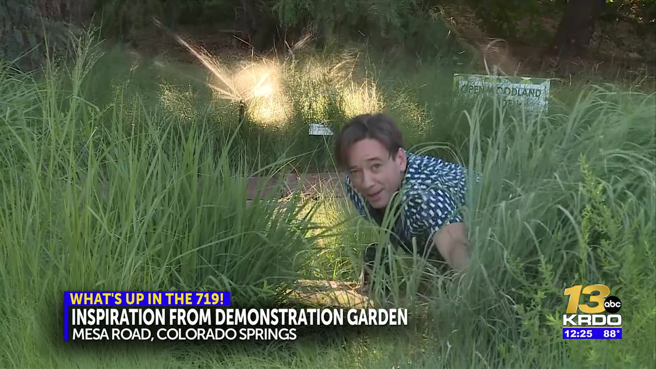 Local city garden wins national award for plant education in native desert climate