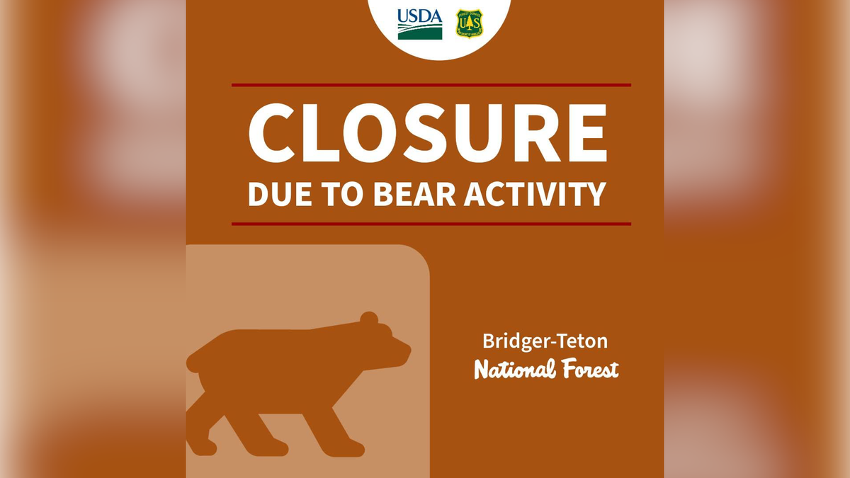 Emergency trail closure on Teton Pass after human and bear encounter